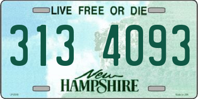 NH license plate 3134093