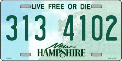 NH license plate 3134102
