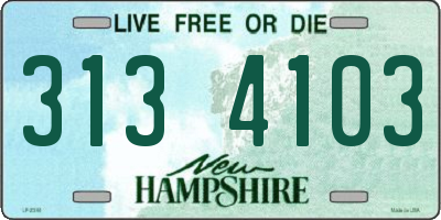 NH license plate 3134103