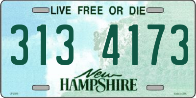 NH license plate 3134173
