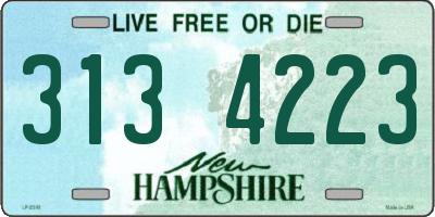 NH license plate 3134223