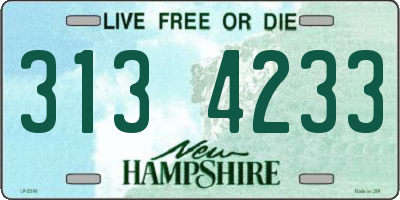 NH license plate 3134233