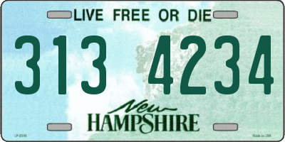 NH license plate 3134234