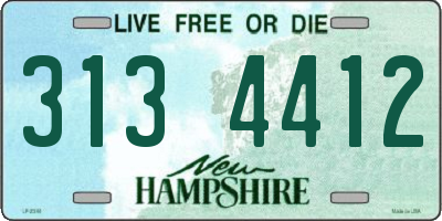 NH license plate 3134412