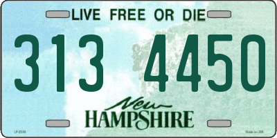 NH license plate 3134450