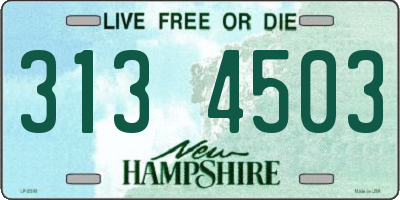 NH license plate 3134503