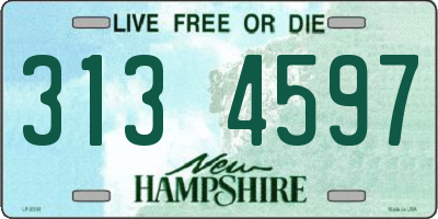 NH license plate 3134597
