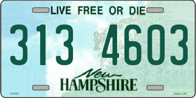 NH license plate 3134603