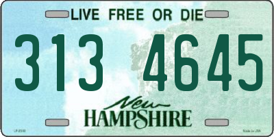 NH license plate 3134645