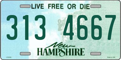 NH license plate 3134667
