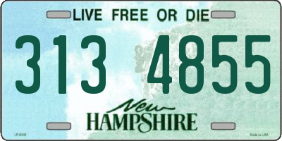 NH license plate 3134855