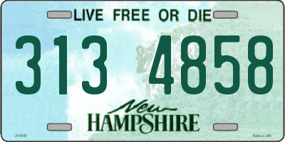 NH license plate 3134858