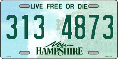 NH license plate 3134873