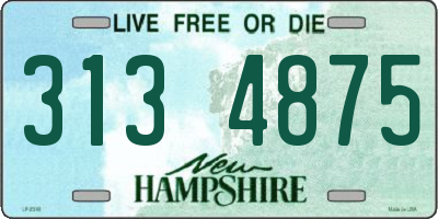 NH license plate 3134875