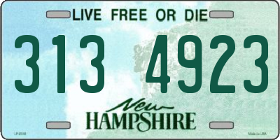 NH license plate 3134923