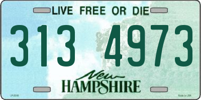 NH license plate 3134973