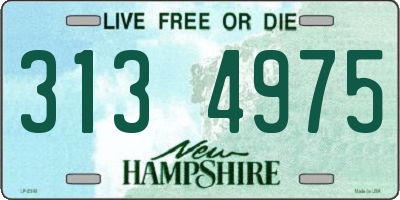 NH license plate 3134975
