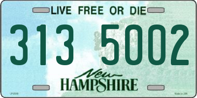NH license plate 3135002