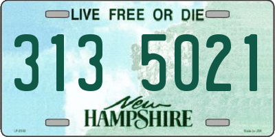 NH license plate 3135021