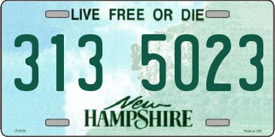 NH license plate 3135023