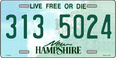 NH license plate 3135024