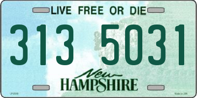 NH license plate 3135031