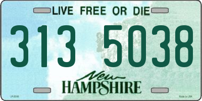 NH license plate 3135038