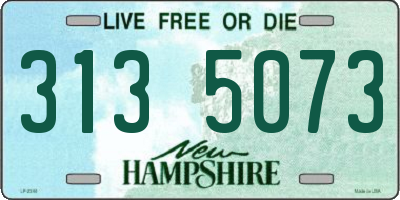 NH license plate 3135073