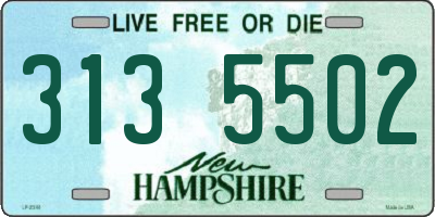 NH license plate 3135502
