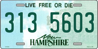NH license plate 3135603