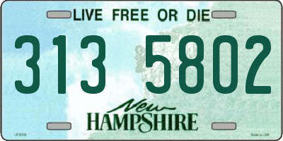 NH license plate 3135802