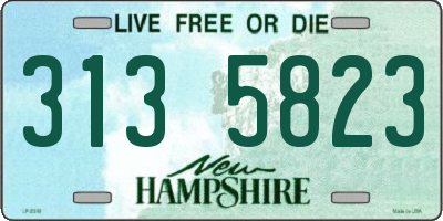 NH license plate 3135823