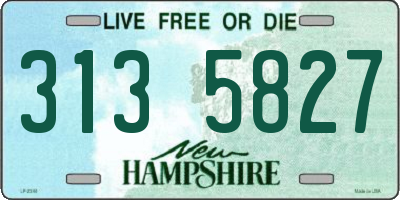 NH license plate 3135827