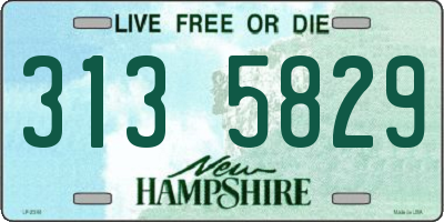 NH license plate 3135829