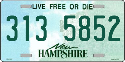 NH license plate 3135852