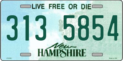 NH license plate 3135854