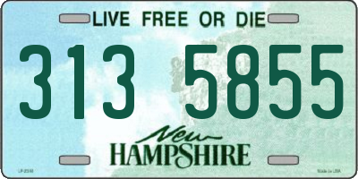 NH license plate 3135855