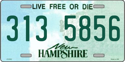 NH license plate 3135856