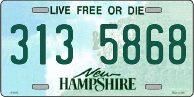 NH license plate 3135868