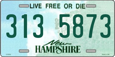 NH license plate 3135873