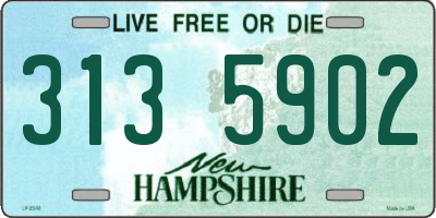 NH license plate 3135902