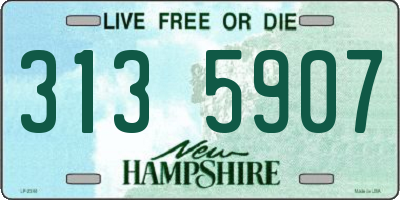 NH license plate 3135907