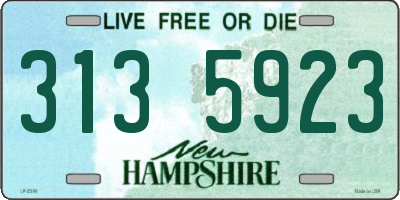 NH license plate 3135923