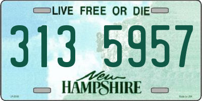 NH license plate 3135957