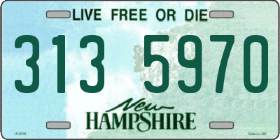 NH license plate 3135970