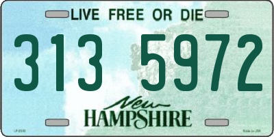 NH license plate 3135972