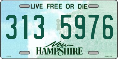 NH license plate 3135976