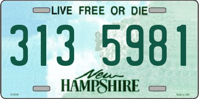 NH license plate 3135981