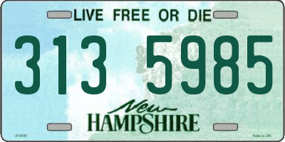 NH license plate 3135985