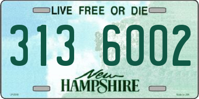 NH license plate 3136002